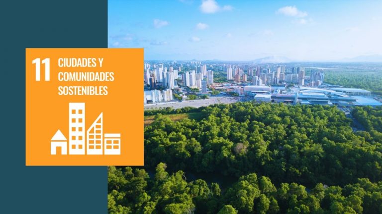 ODS 11 Ciudades y comunidades sostenibles. Una indecencia urbanística en Málaga